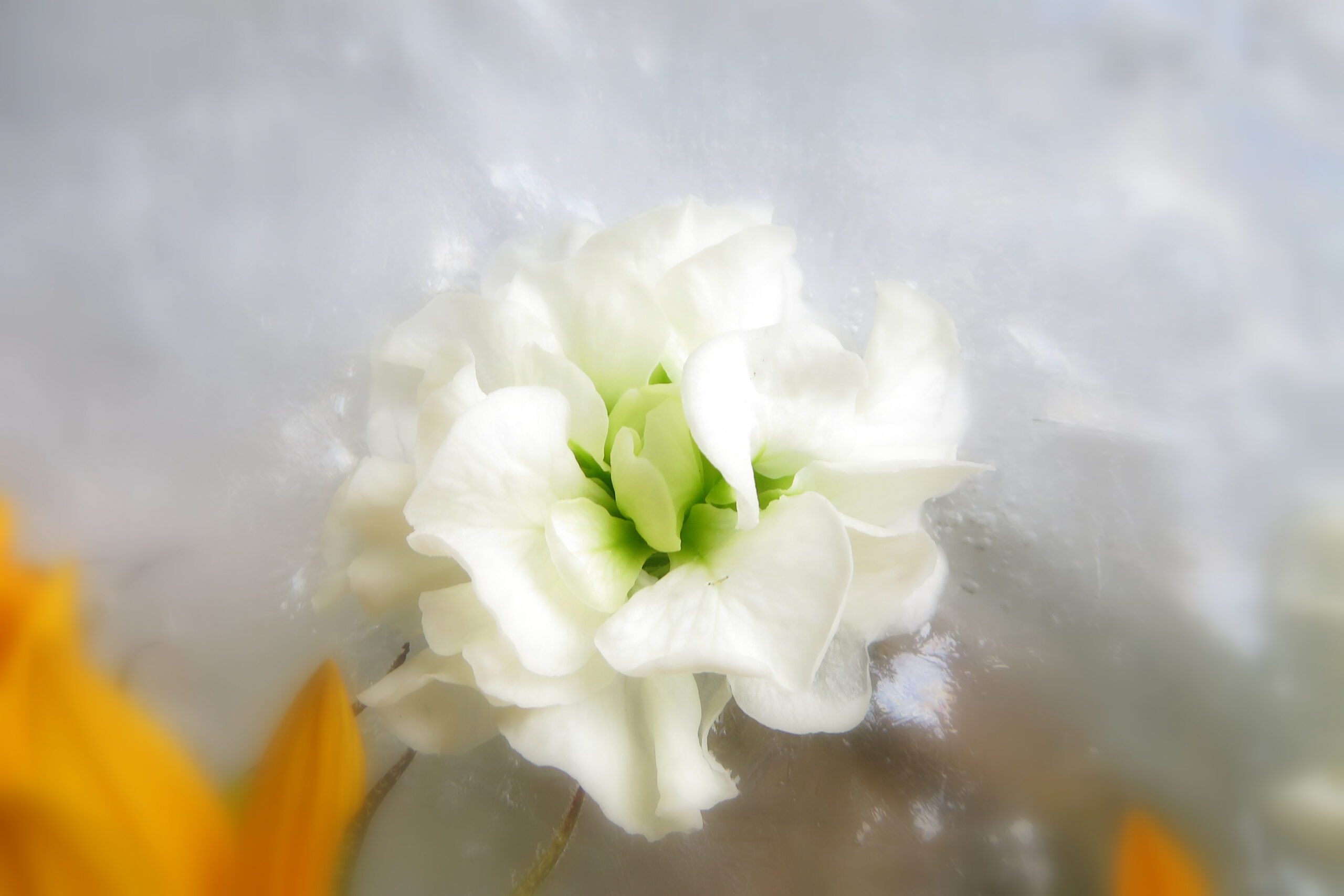 received_719550092486021