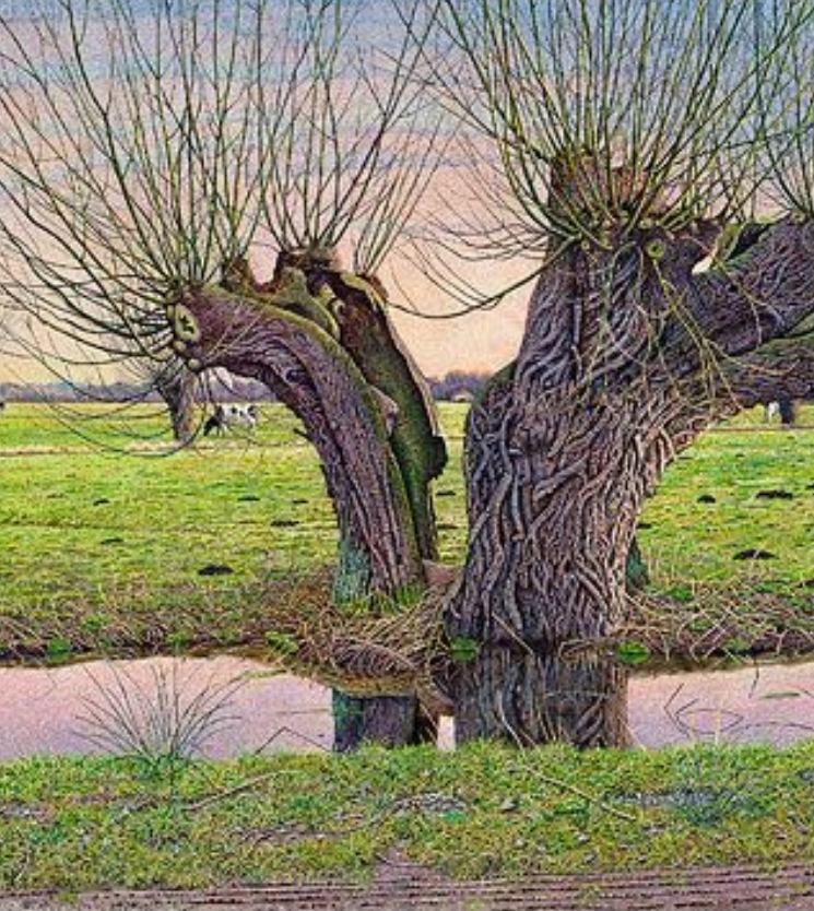 tempFileForShare_20260102-175925